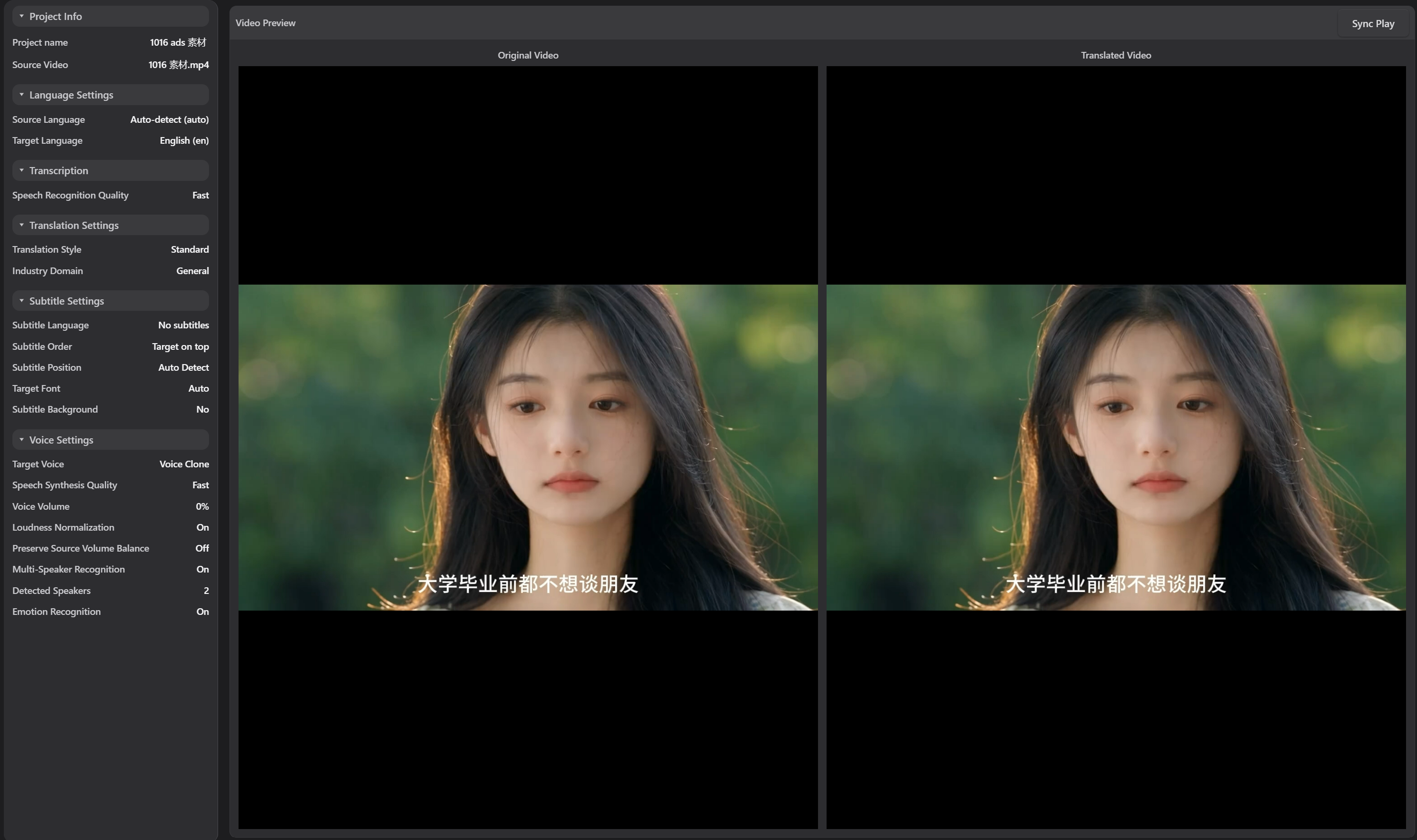 DeepVideo Expert Video Translation workspace
